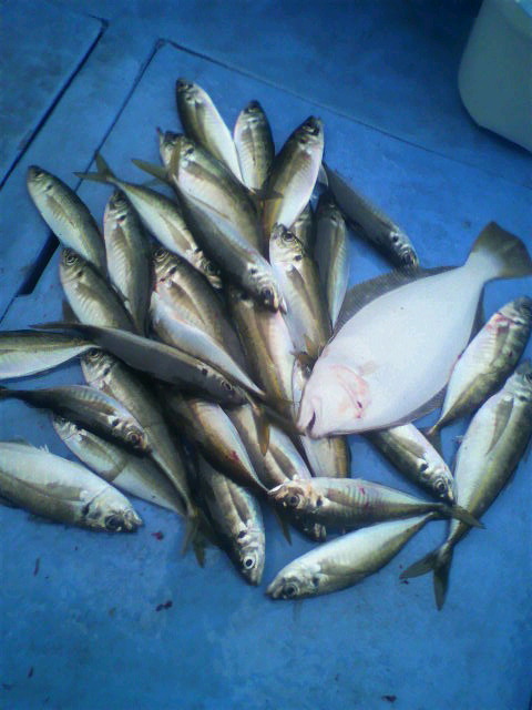 2011011516390000.jpg
