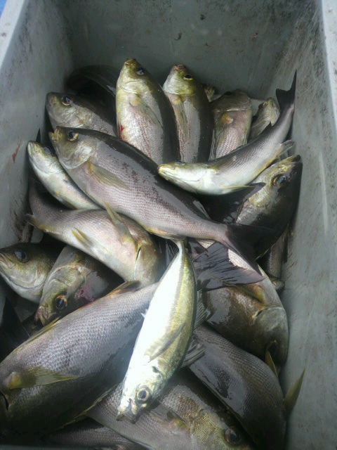 2012071311100000.jpg