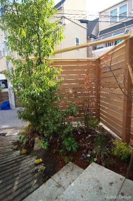 アプローチ廻り植栽