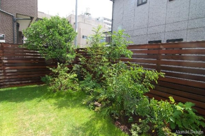 山野草庭