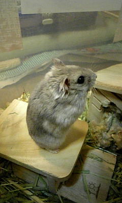 立つことが大好きな「なつ」