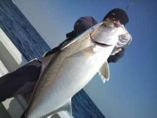 20110404_1400837.jpg