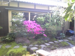 板橋・前野原温泉