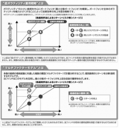 ネット証券専用ファンドシリーズ 新興国中小型株ファンド_2