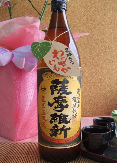 薩摩維新