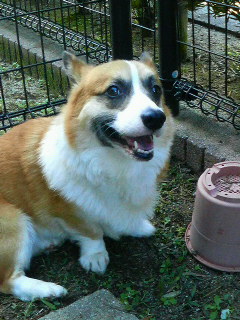 201106280913000.jpg