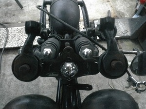 オールドレーサードッグボーン
