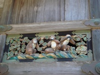 monkey