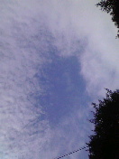 2009053106560000.jpg