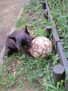 20100613171357.jpg