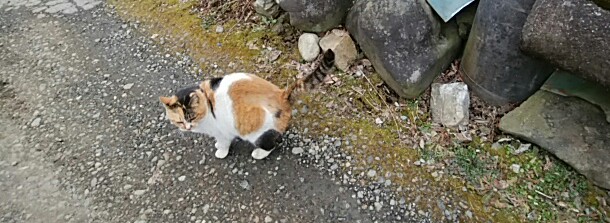 IMG_20170209_002102.jpg