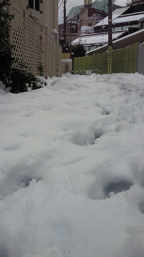 201402151019000.jpg