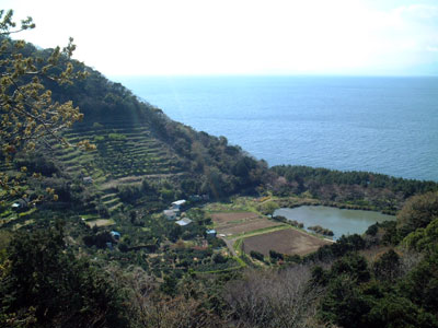 井田