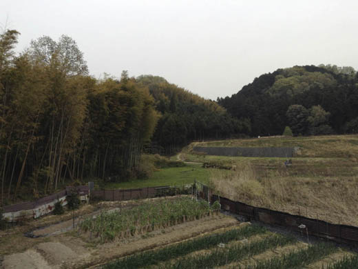 140416景色2.jpg