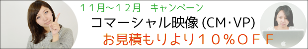 2012年11月キャンペーンバナー