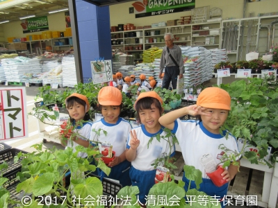 2017/05/26 5歳児の夏野菜の苗買い