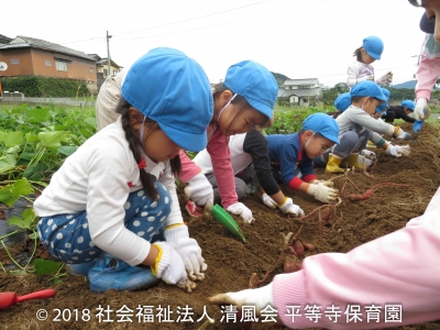 2018/10/13 梅・薔薇組