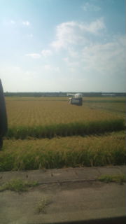 20100904145340.jpg