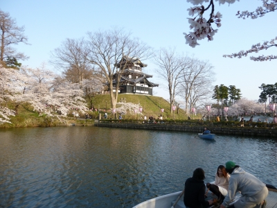 高田城址公園の桜