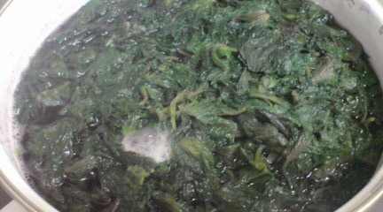 20100626164721.jpg