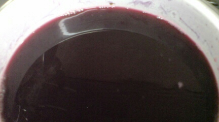 20100626171524.jpg