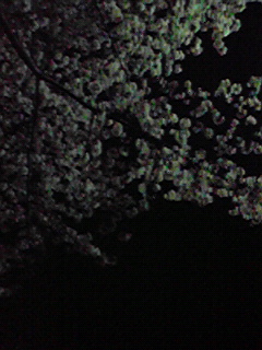 200804051908000.jpg