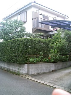 20060708_3091.jpg