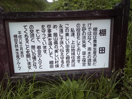 棚田