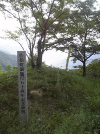 南山方