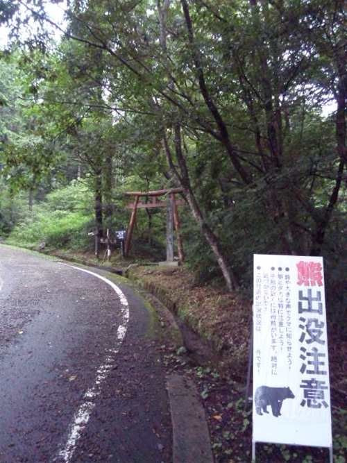 nagi2