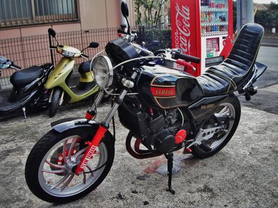 RZ250 RZ350 三段シート ヤラレ