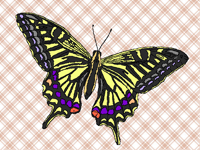 アゲハ蝶の画像を作ってみました 旬の出来事