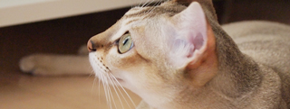 TOP-2011.08-153.jpg