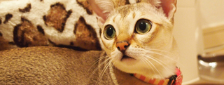 TOP-2011.11-152.jpg
