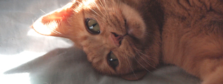 TOP-2012.01-011.jpg