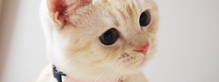 TOP-2012.02-011.jpg
