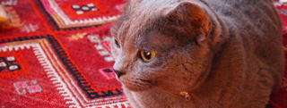 TOP-2012.02-153.jpg