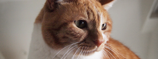 TOP-2012.03-151.jpg