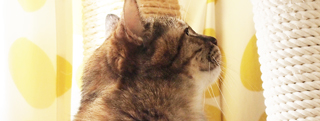 TOP-2012.03-153.jpg