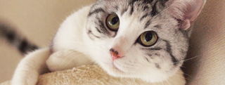 TOP-2012.04-011.jpg