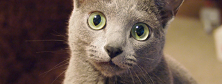 TOP-2012.04-012.jpg
