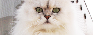 TOP-2012.04-153.jpg