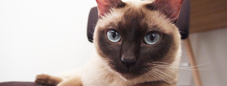 TOP-2012.05-011.jpg