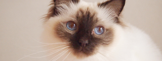 TOP-2012.05-013.jpg