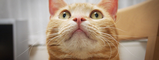 TOP-2012.05-151.jpg