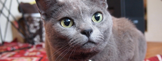 TOP-2012.05-153.jpg