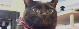 TOP-2012.05-154.jpg