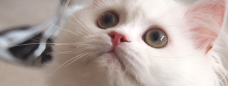 20120702_2302005.jpg