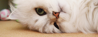 20120702_2302006.jpg