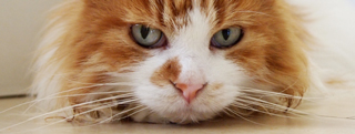 20120702_2302007.jpg